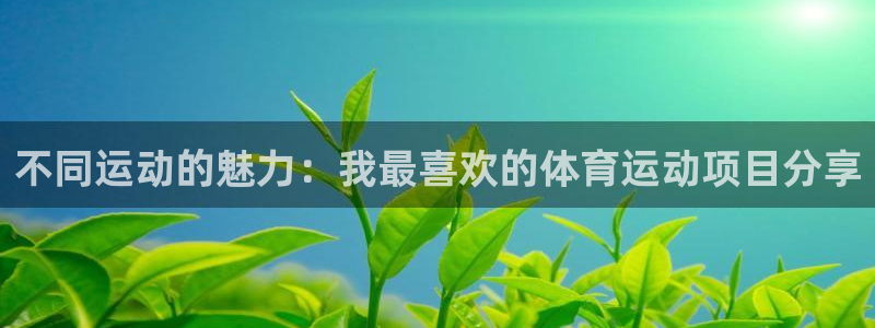不同运动的魅力：我最喜欢的体育运动项目分享