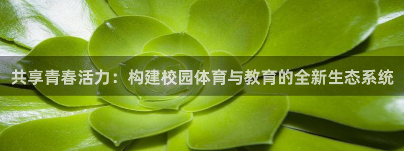 共享青春活力：构建校园体育与教育的全新生态系统