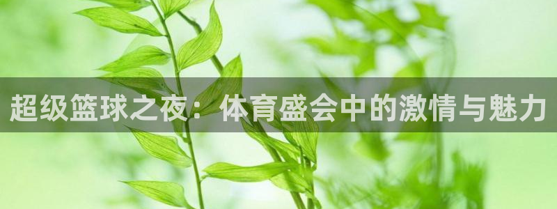 超级篮球之夜：体育盛会中的激情与魅力