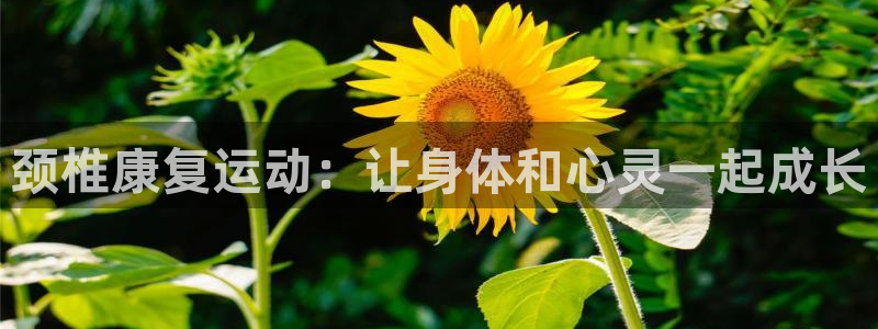 颈椎康复运动：让身体和心灵一起成长