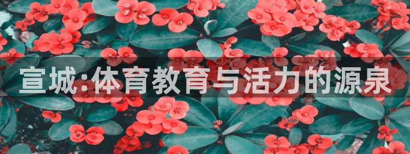 宣城:体育教育与活力的源泉