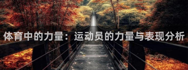体育中的力量：运动员的力量与表现分析