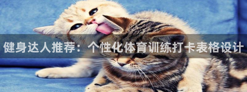 健身达人推荐：个性化体育训练打卡表格设计
