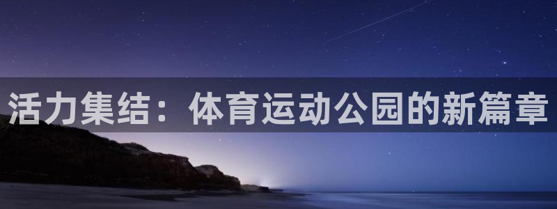 活力集结：体育运动公园的新篇章
