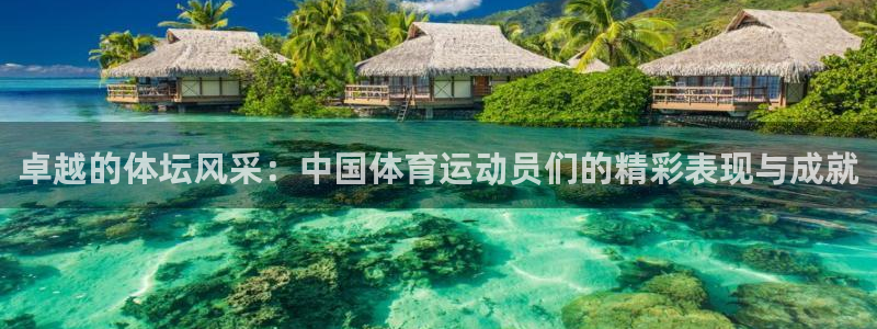 卓越的体坛风采：中国体育运动员们的精彩表现与成就